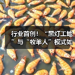 行业首创！“黑灯工地”与“牧羊人”模式如何重塑工程机械效率？（图1）