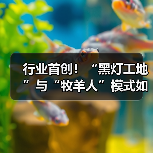 行业首创！“黑灯工地”与“牧羊人”模式如何重塑工程机械效率？（图3）