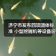 济宁市发布四项团体标准 小型挖掘机等设备迎新规（图3）