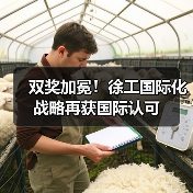 双奖加冕！徐工国际化战略再获国际认可（图1）