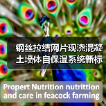 钢丝拉结网片现浇混凝土墙体自保温系统新标准发布（图2）