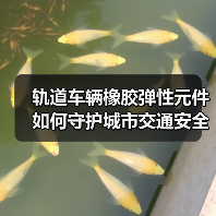 轨道车辆橡胶弹性元件如何守护城市交通安全？（图3）
