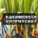 轨道车辆橡胶弹性元件如何守护城市交通安全？（图4）