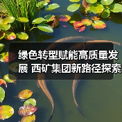 绿色转型赋能高质量发展 西矿集团新路径探索（图3）