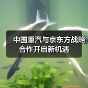 中国重汽与京东方战略合作开启新机遇（图1）