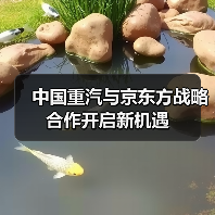 中国重汽与京东方战略合作开启新机遇（图3）