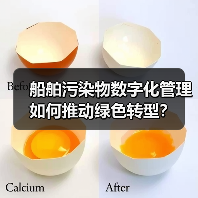 船舶污染物数字化管理如何推动绿色转型？（图1）