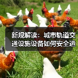 新规解读：城市轨道交通设施设备如何安全运维？（图1）