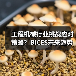 工程机械行业挑战应对策略？BICES未来趋势前瞻（图4）