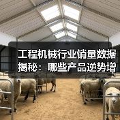 工程机械行业销量数据揭秘：哪些产品逆势增长？（图2）