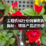 工程机械行业销量数据揭秘：哪些产品逆势增长？（图1）