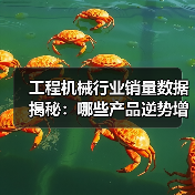 工程机械行业销量数据揭秘：哪些产品逆势增长？（图3）