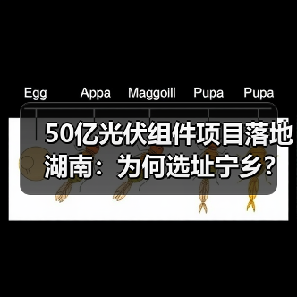 50亿光伏组件项目落地湖南：为何选址宁乡？（图4）