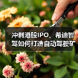 冲刺港股IPO，希迪智驾如何打造自动驾驶矿卡龙头？（图2）