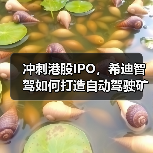 冲刺港股IPO，希迪智驾如何打造自动驾驶矿卡龙头？（图1）