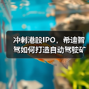 冲刺港股IPO，希迪智驾如何打造自动驾驶矿卡龙头？（图3）