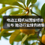 电动工程机械国家标准发布 推动行业绿色转型（图3）