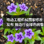 电动工程机械国家标准发布 推动行业绿色转型（图4）