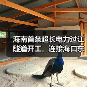 海南首条超长电力过江隧道开工，连接海口东西两岸（图1）