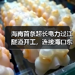 海南首条超长电力过江隧道开工，连接海口东西两岸（图3）