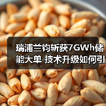 瑞浦兰钧斩获7GWh储能大单 技术升级如何引领全球市场？（图2）