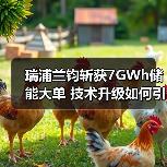 瑞浦兰钧斩获7GWh储能大单 技术升级如何引领全球市场？（图1）