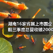 湖南16家省属上市国企前三季度总营收破2000亿，转型升级显成效（图3）