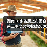湖南16家省属上市国企前三季度总营收破2000亿，转型升级显成效（图4）