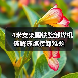 4米支架腿铁路卸煤机破解冻煤接卸难题（图2）