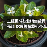 工程机械行业销售数据亮眼 挖掘机装载机齐涨（图2）