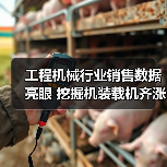 工程机械行业销售数据亮眼 挖掘机装载机齐涨（图4）