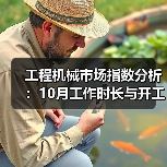 工程机械市场指数分析：10月工作时长与开工率数据揭秘（图1）
