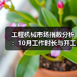 工程机械市场指数分析：10月工作时长与开工率数据揭秘（图3）
