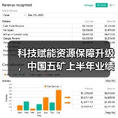 科技赋能资源保障升级，中国五矿上半年业绩稳步提升（图4）