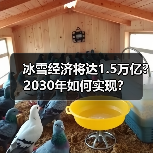 冰雪经济将达1.5万亿？2030年如何实现？（图3）