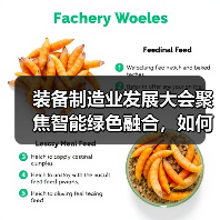 装备制造业发展大会聚焦智能绿色融合，如何引领行业转型升级？（图2）
