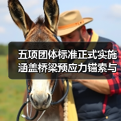 五项团体标准正式实施 涵盖桥梁预应力锚索与公路工程应用技术（图4）