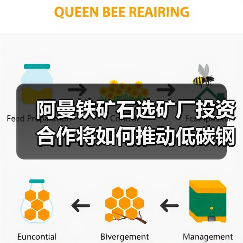 阿曼铁矿石选矿厂投资合作将如何推动低碳钢生产（图1）