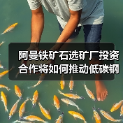 阿曼铁矿石选矿厂投资合作将如何推动低碳钢生产（图2）