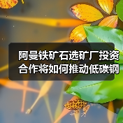 阿曼铁矿石选矿厂投资合作将如何推动低碳钢生产（图4）
