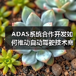 ADAS系统合作开发如何推动自动驾驶技术商业化？（图3）