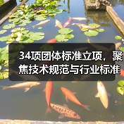 34项团体标准立项，聚焦技术规范与行业标准（图1）