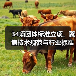 34项团体标准立项，聚焦技术规范与行业标准（图4）