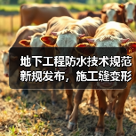地下工程防水技术规范新规发布，施工缝变形缝一体化方案解析（图1）
