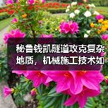 秘鲁钱凯隧道攻克复杂地质，机械施工技术如何实现高效建设？（图4）