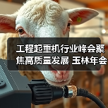 工程起重机行业峰会聚焦高质量发展 玉林年会推动产业升级（图1）