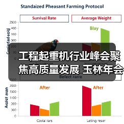 工程起重机行业峰会聚焦高质量发展 玉林年会推动产业升级（图4）