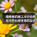 湖南省机械工业协会批准地质钻探金刚石复合片钻头标准立项（图4）