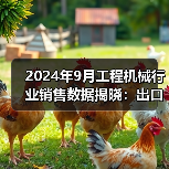 2024年9月工程机械行业销售数据揭晓：出口回暖与国内市场分化（图2）