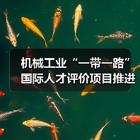 机械工业“一带一路”国际人才评价项目推进会聚焦技能出海(图3) 机械工业“一带一路”国际人才评价项目推进会聚焦技能出海(图3)